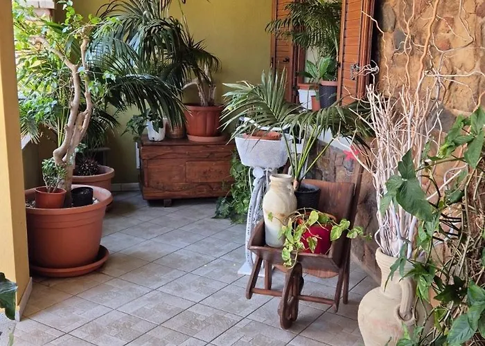 בית נופש Casa Elena C Vicino Al Centro *